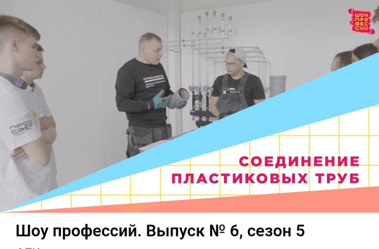 Шоу профессий.